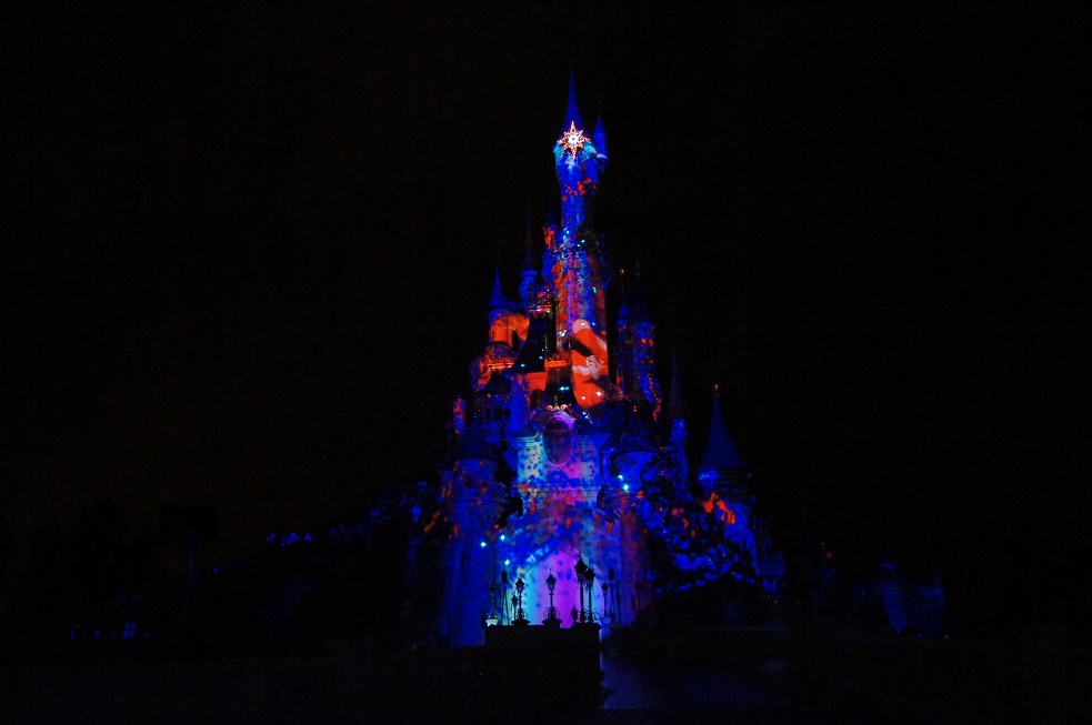 Disney Dreams! - Version 1 [Parc Disneyland - 2012-2013] - Page 24 Dsc09719