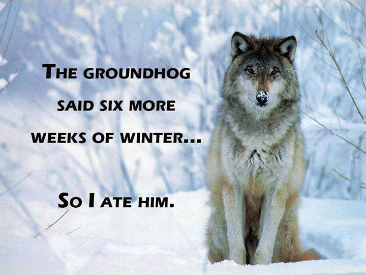 Groundhog's Day - Had your Phil Yet? Phil11