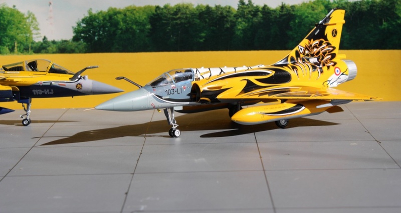 RAFALE C107 TIGER MEET Amd_mi43