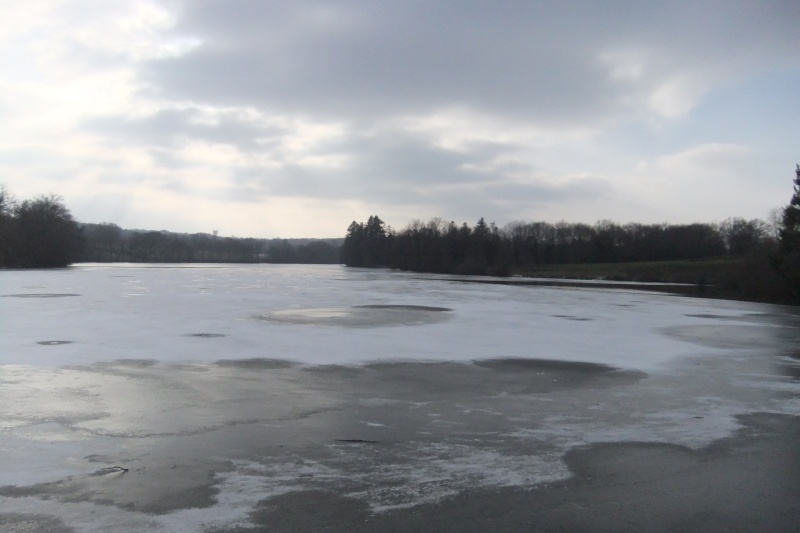 Hivernale dans la Creuse 07 et 08/02/2015 Dscf5522