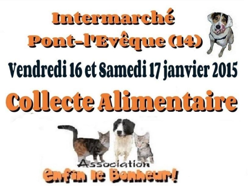 collecte alimentaire pt l'eveque ass.ELB 14 les 16/17/01 10906510