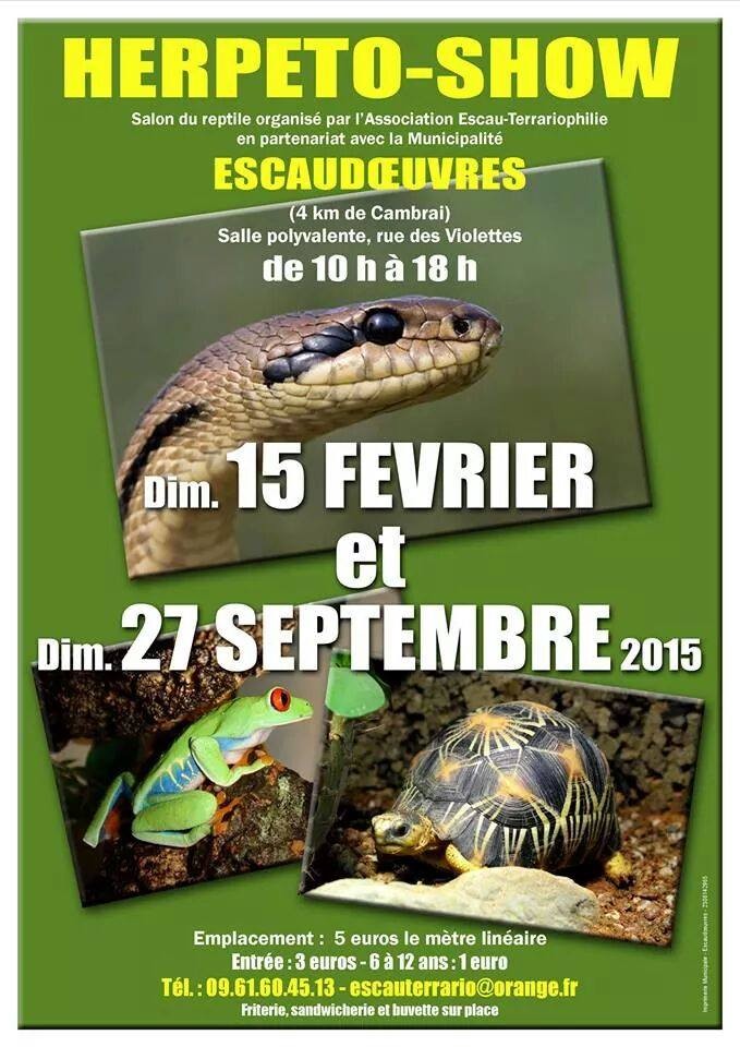 Bourse reptiles Escaudoeuvres Fevrier 2015  10407012