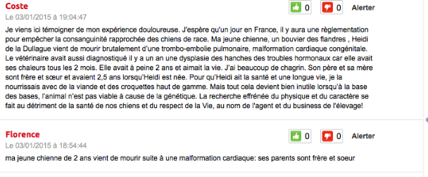 Combats(Contre la consanguinité en élevages canins & contre l'abandon) Deux_c10