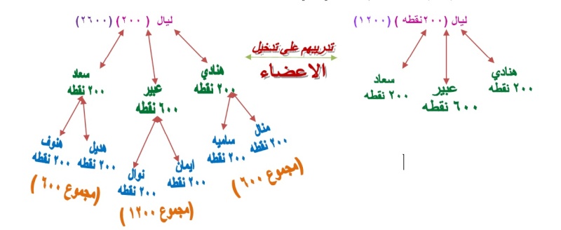 خطه كيف اكون قائده ناجحه فى ماى واى بالامثله Uoou10