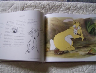 Les livres Disney - Page 15 Winnie20