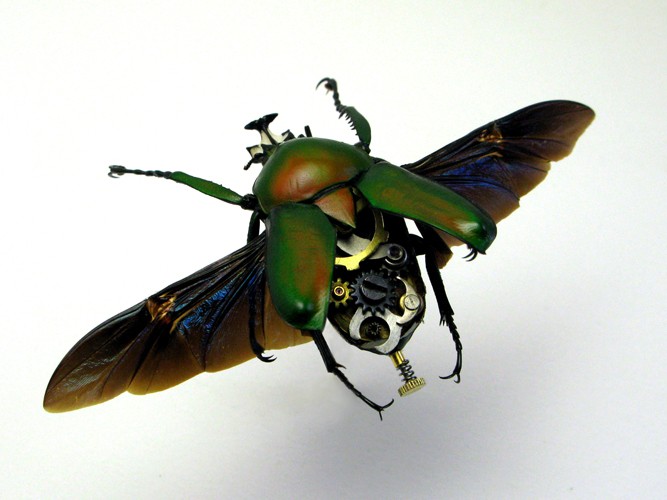 LES OBJETS STEAMPUNK Insect12