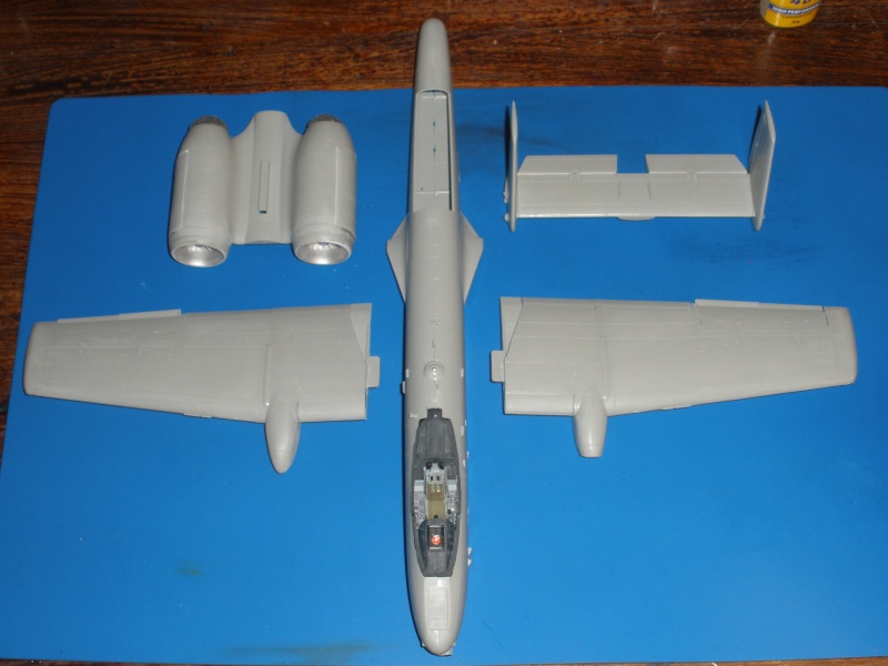 A-10 Thunderbolt II Hobby-boss 1/48. P1060315