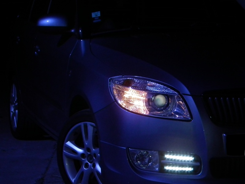 Concours Janvier 2015 = Dans le regard de votre skoda Dscf3510