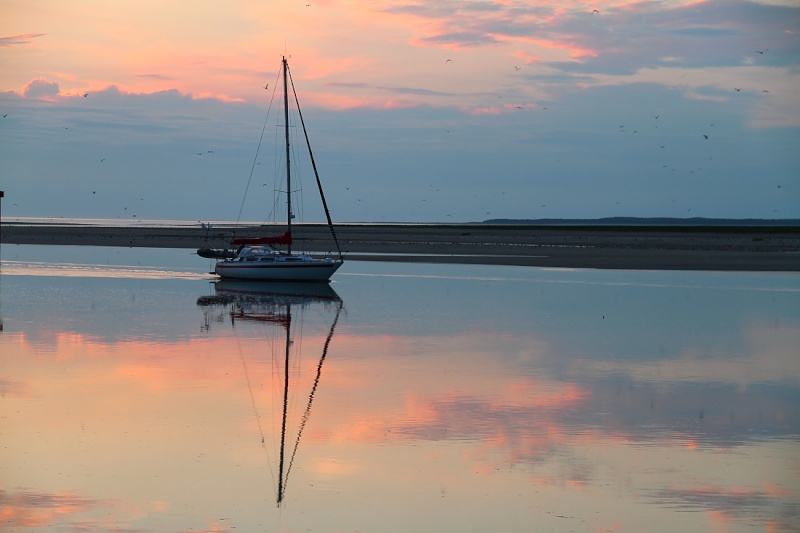 Fantaisie couleurs de la Baie de Somme Img_0113