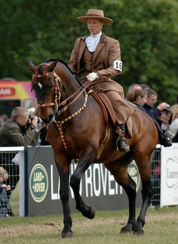 Chevaux de Luciole Pep77