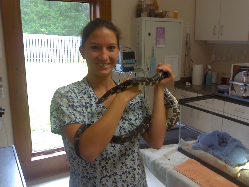 Had an interesting patient yesterday Snake_15