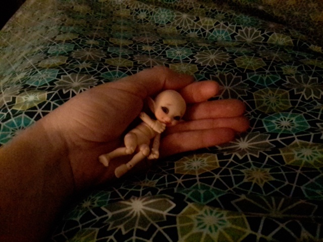 Dolls in hand / Dans le creux de la main 20150211