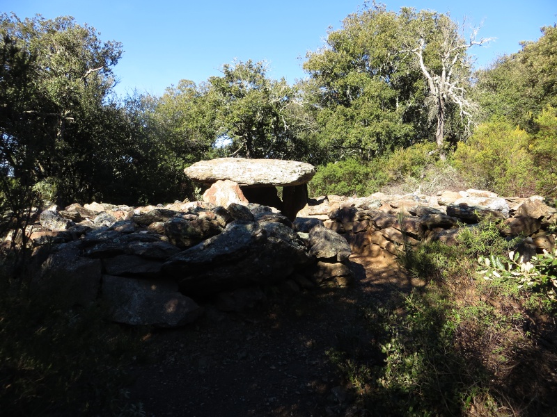 Le Dolmen du col de la Llosa Img_2516