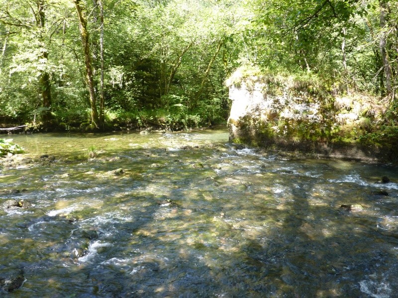 week end au fil de l'eau : source du Lison dans le Doubs P1010833