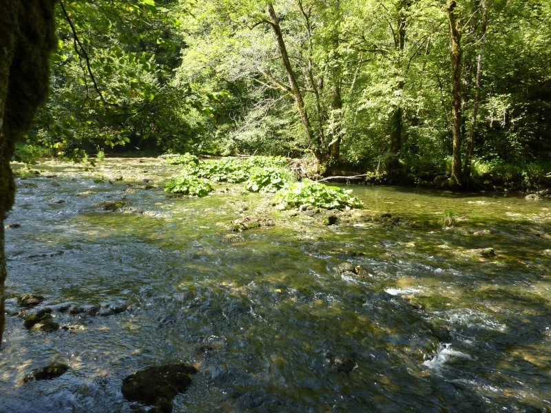 week end au fil de l'eau : source du Lison dans le Doubs P1010834