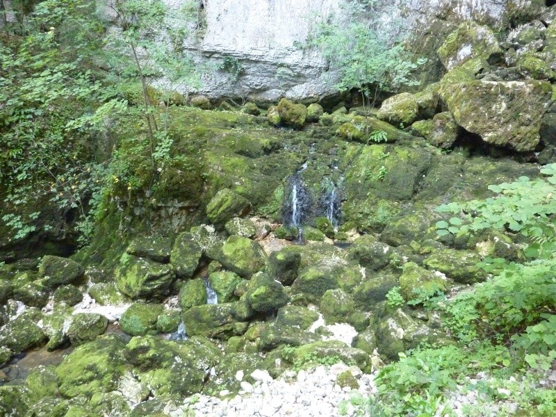 week end au fil de l'eau : source du Lison dans le Doubs P1010837