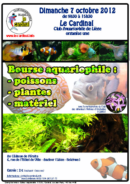 bourse aquariophilie avec du marin Icone-10