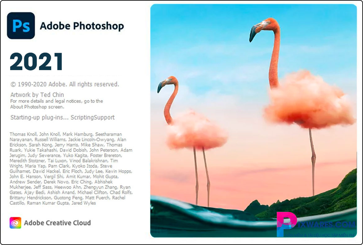 Bộ ứng dụng Adobe Photos12