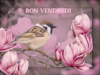 Bonjour/bonsoir de Janvier - Page 3 51742510