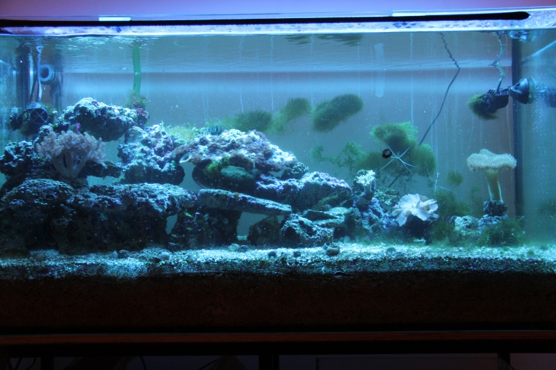 360 litres de fred Img_2010