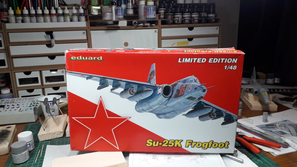 [Eduard] 1/48 - Sukhoi Su-25K / Anca Frogfoot 20210212