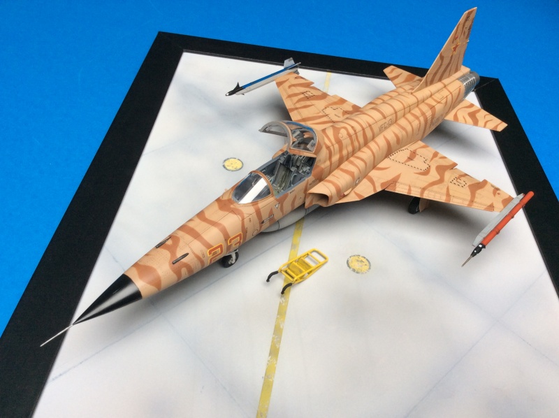 F-5E Tiger II - US NAVY - VFC 13 Desert Cats - TERMINE Img_0211