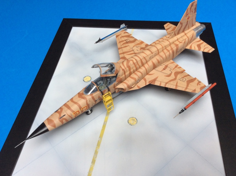 F-5E Tiger II - US NAVY - VFC 13 Desert Cats - TERMINE Img_0217