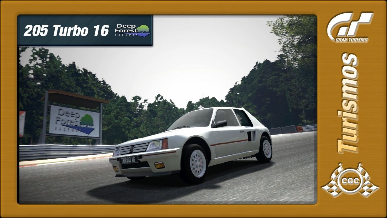 Entrenamientos Oficiales  -> Deep Forest - Peugeot 205 Turbo (15/02/2015) 20510