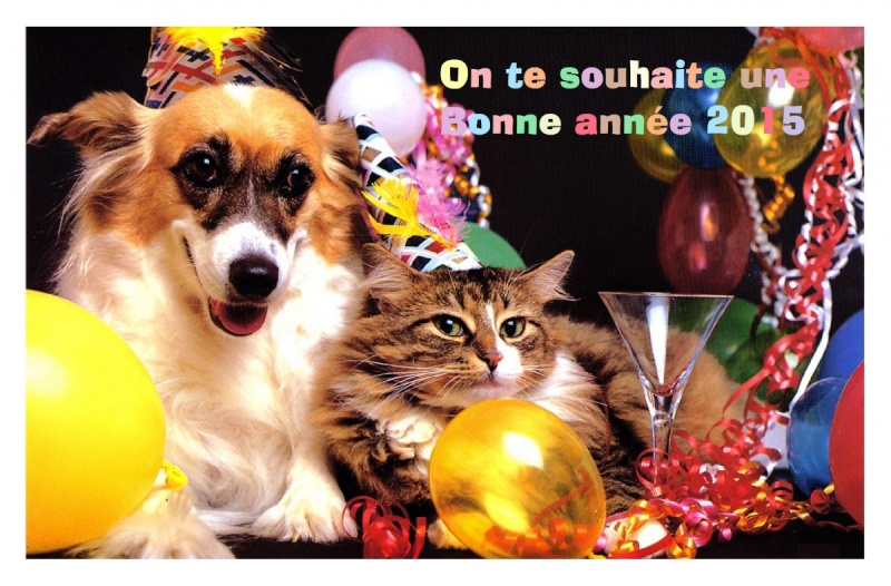 BONNE ANNEE A TOUS Carte-11