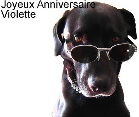 Joyeux Anniversaire Violette Joyeux Anniversaire Violette