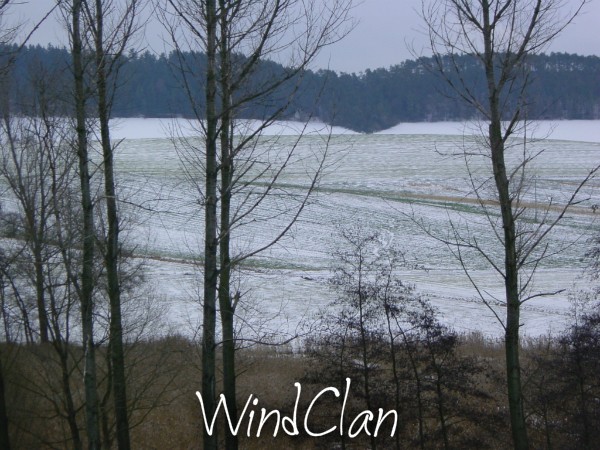 Die Hierarchie des Wind Clans 1_wind10