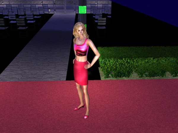 The 2012 Sim Music Awards (Red Carpet) 610