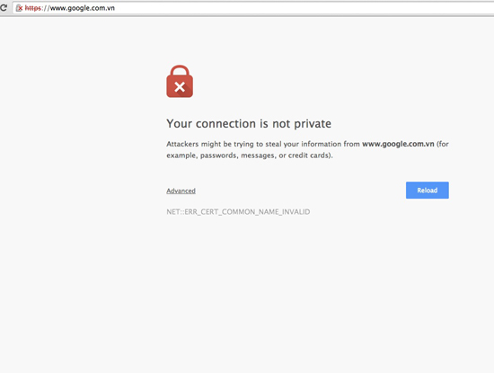 Vụ Google.com.vn lỗi: VNNIC khẳng định DNS quốc gia không bị tấn công 1cbb3e10