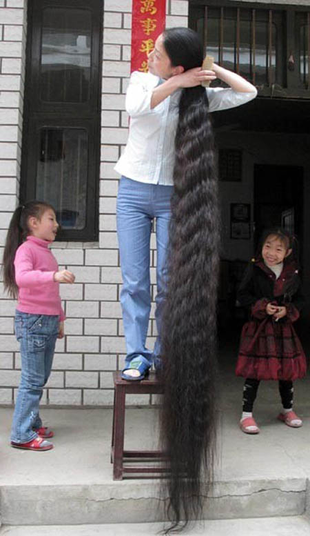 أطول شعر في العالم 334
