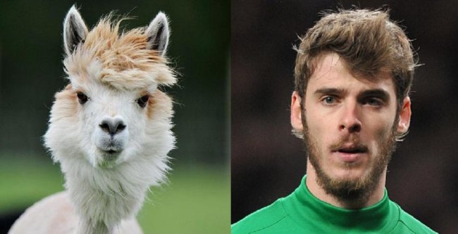 Handsome Footballers Who Have It All - Page 2 Degea-10