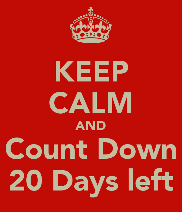 ELECTION COUNT DOWN, 1 DAY (24 Hrs, 1440 mins, 86400 secs  ) TO GO.... 20days10