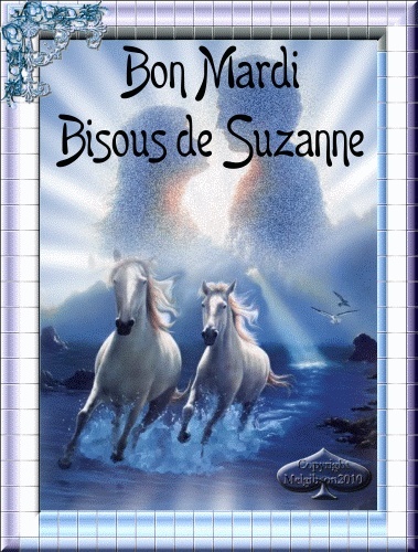 BONJOURS DU MARDI 23 JUILLET 66490010