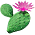 Chameau Égyptien => Perle Africaine Cactus10