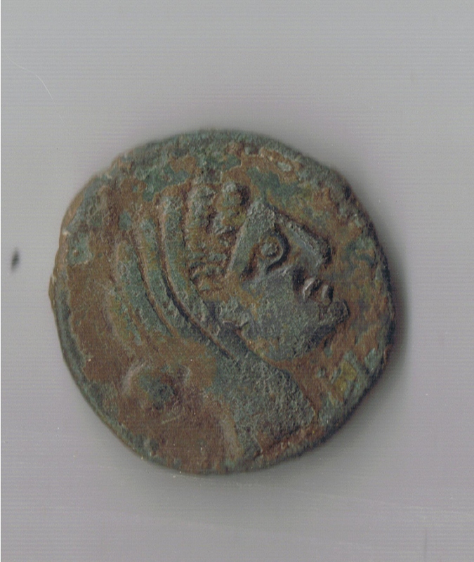GALLIA - NEDENES bronze au taureau Gauloi11