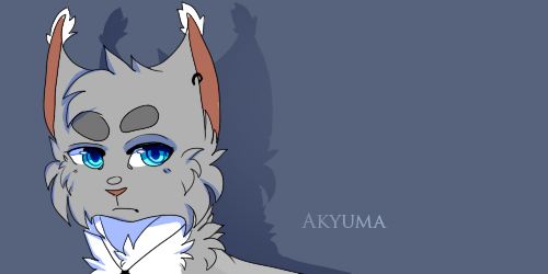 Avatar /Steckbrief Bild ( 500x250 ) Request c: S2s210