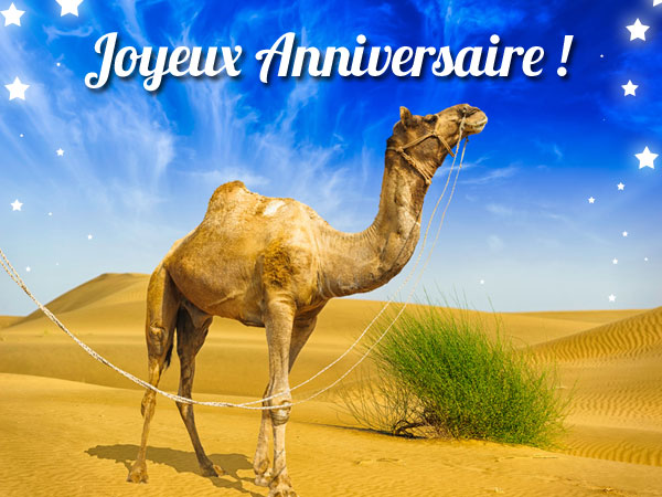 Joyeux Anniversaire! - Page 10 Dromad10