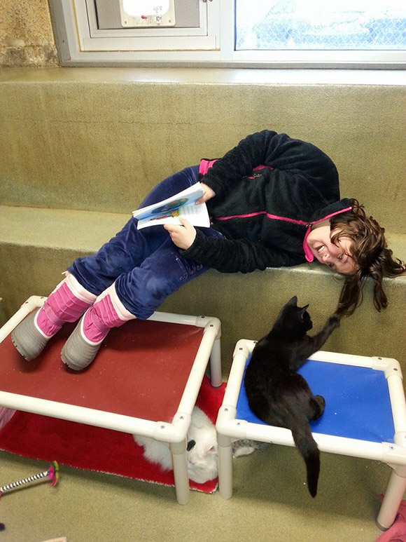 Cute: kids reading books to shelter cats Shelte10