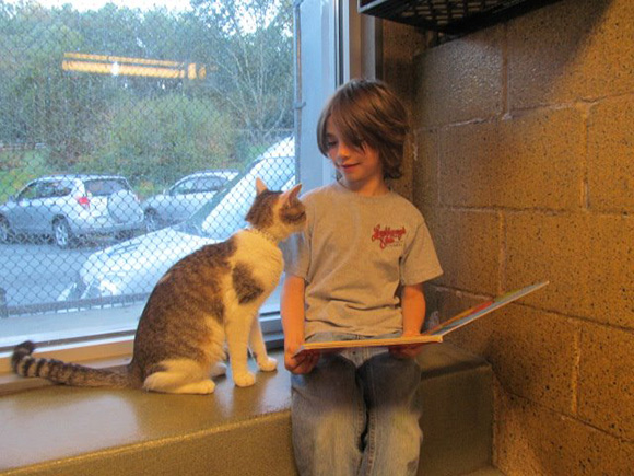 Cute: kids reading books to shelter cats Shelte11