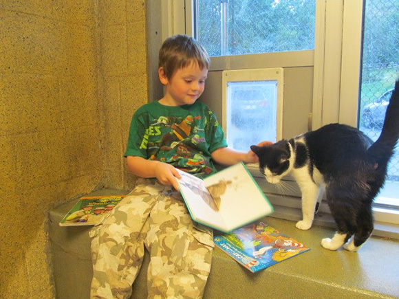 Cute: kids reading books to shelter cats Shelte13