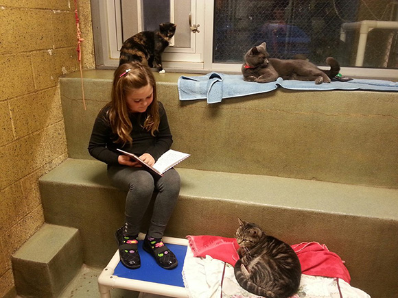 Cute: kids reading books to shelter cats Shelte14