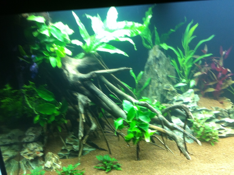 450l Amazonien Img_2619
