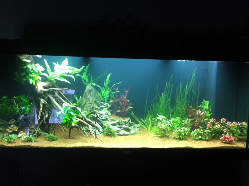 450l Amazonien Img_2623