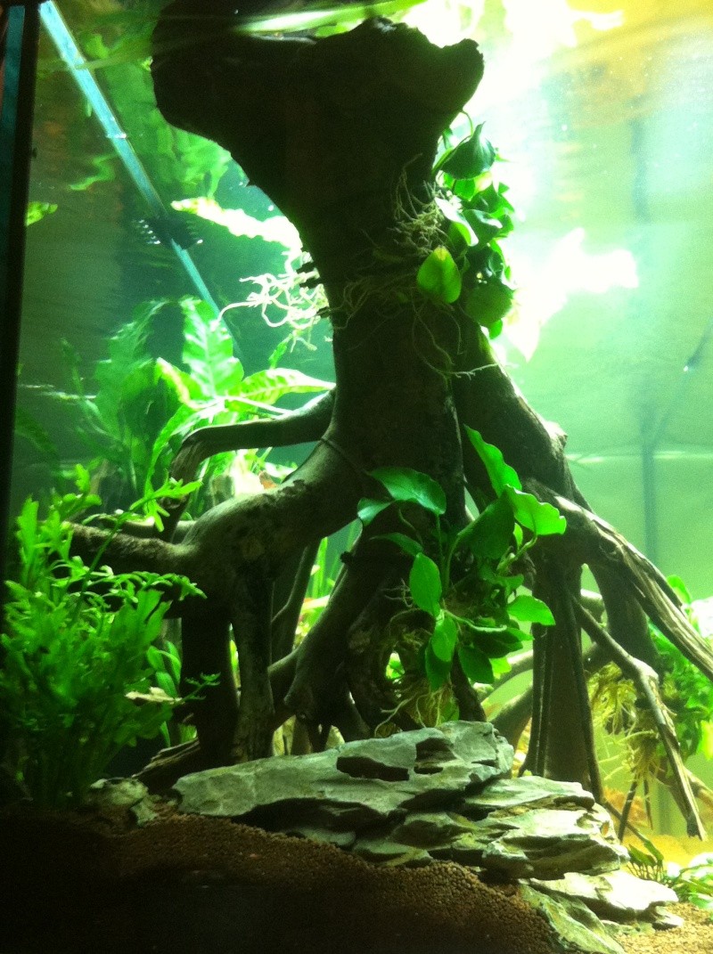 450l Amazonien Img_2717