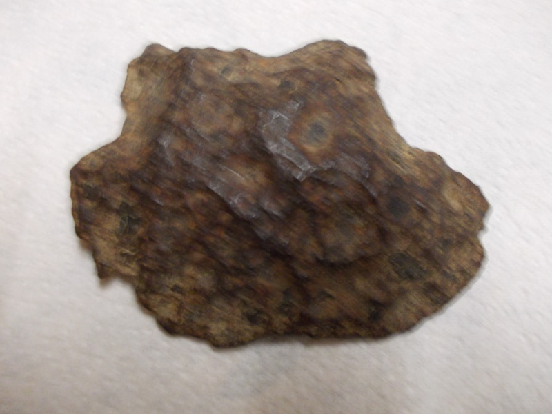 meteorite ou pas? Dscn0112