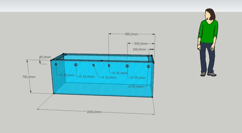 Projet 1000 litres en Jaubert déporté Aquari10